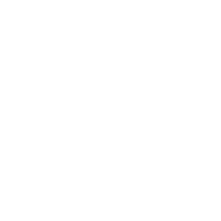 LMMC V Logo W